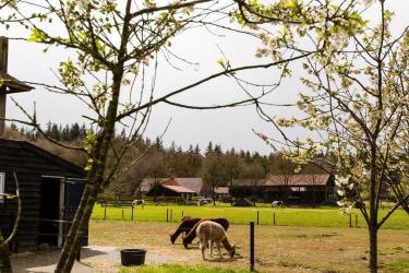 locatie boschoord